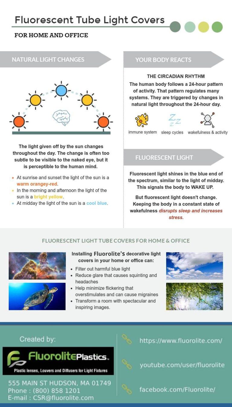fluorolite infographic 768x1343