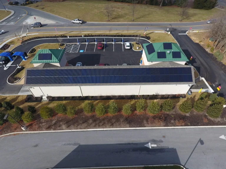 DJI 0012 scaled 1 768x576