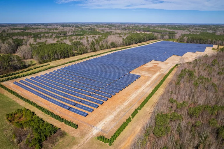 commercial solar panels 2 scaled 1 768x512