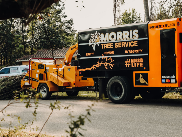 pinellas tree service 768x577