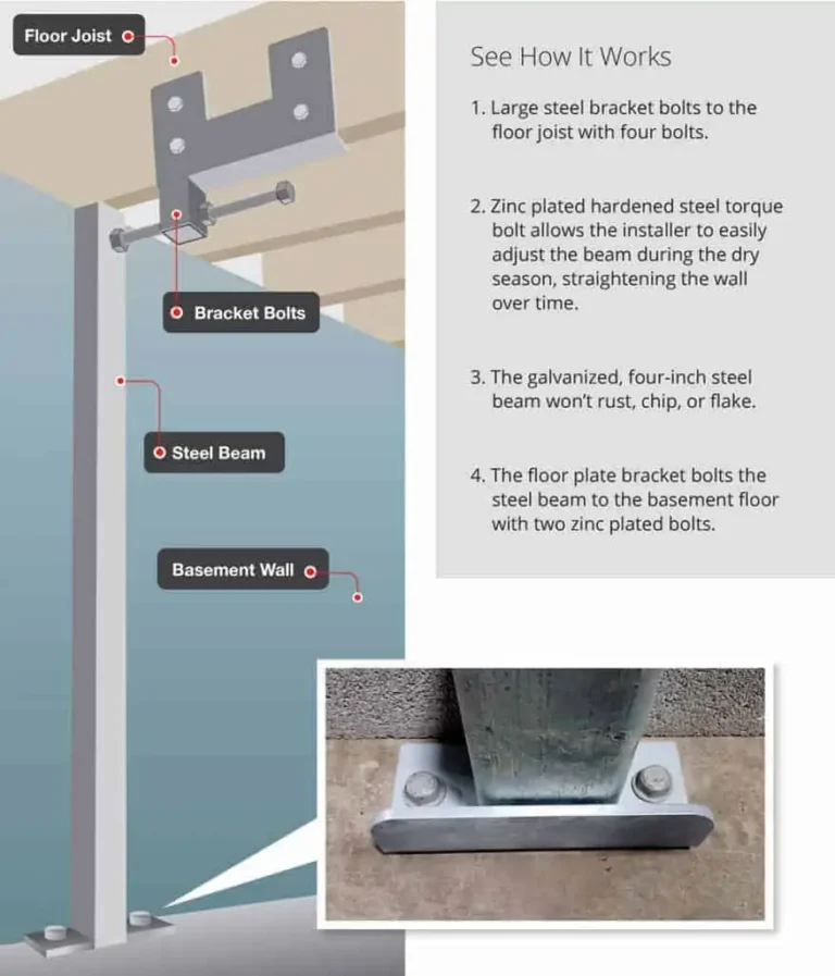 Stable Brace System Graphic 1 877x1024 1 768x897