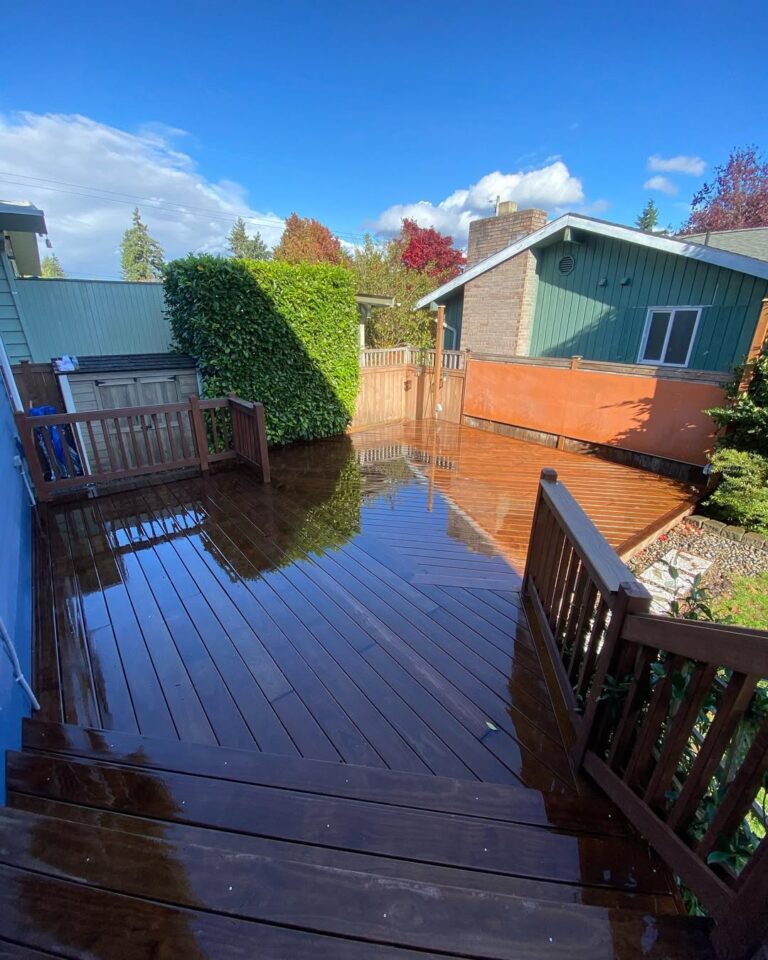 SaveClip.App 248408165 596076768256349 1238938863807805668 n 1 768x960