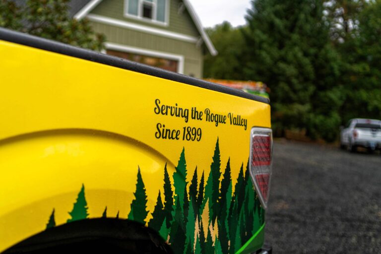 20231010  DSC7191 Edit 1 768x512