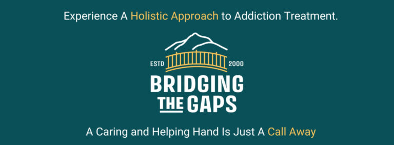 COVER bridgingthegaps.com  768x283