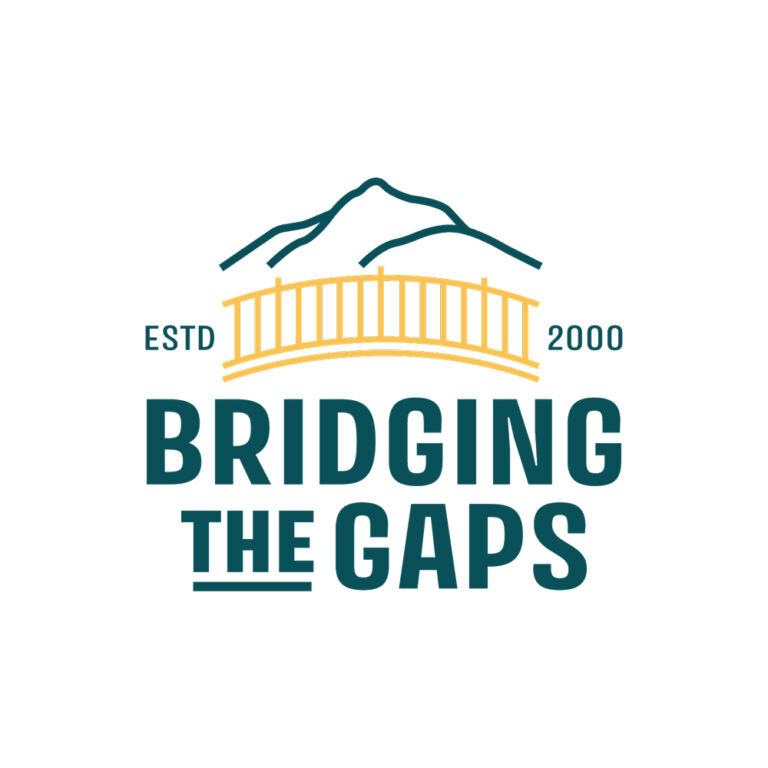 LOGO 1000x1000 Bridging the Gaps 768x768