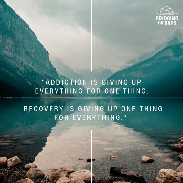 drug treatment virginia bridgingthegaps.com  768x768