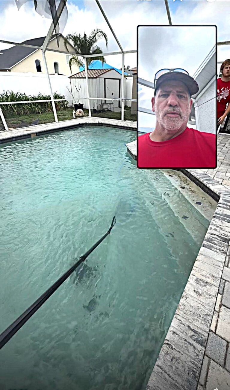 Vacuum Pool  768x1298